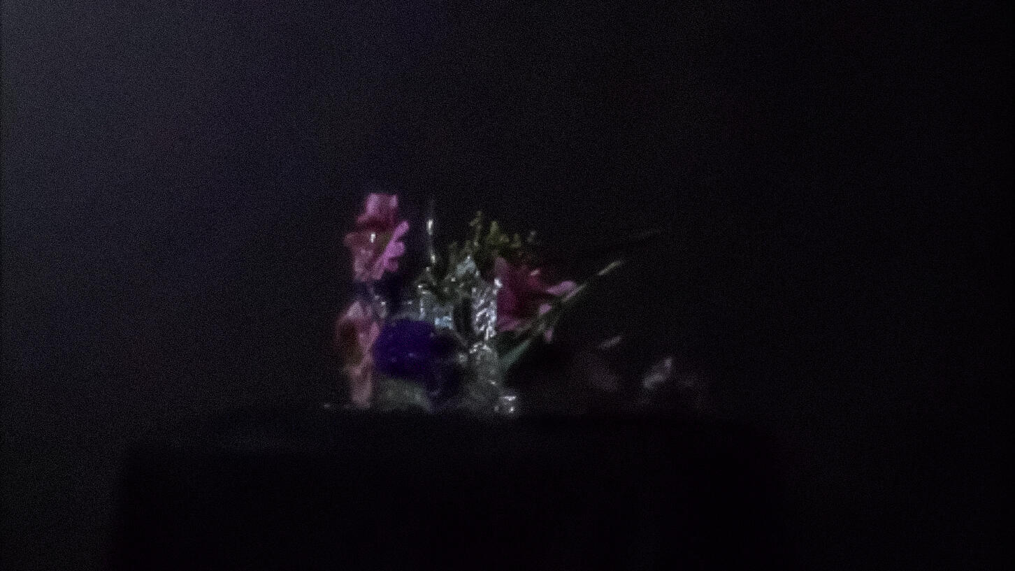 The Beauty of Impermanence