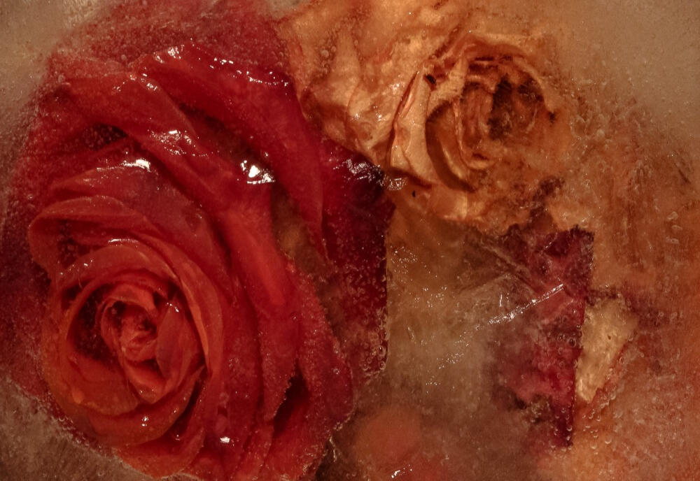 I will not be preserved