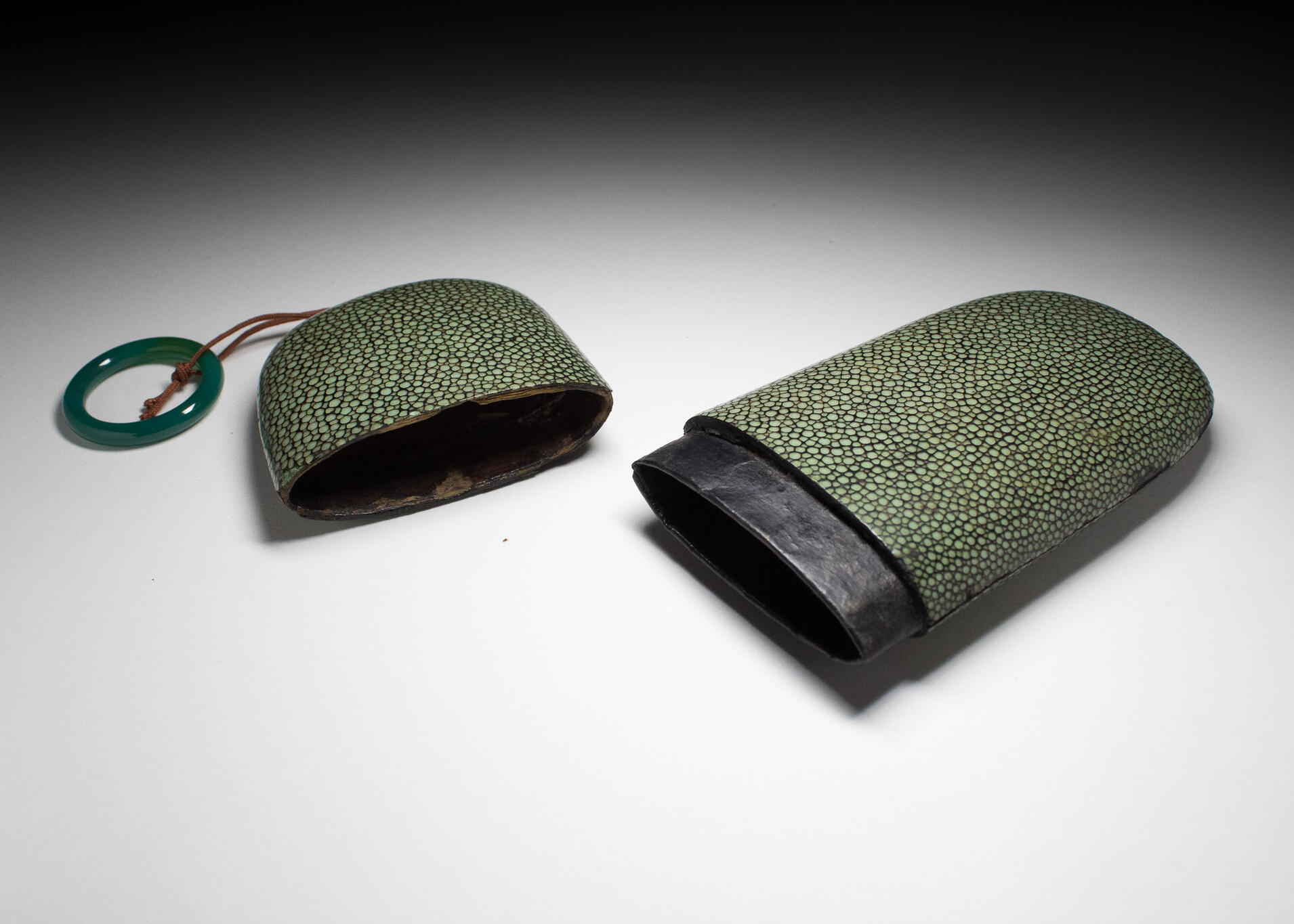 Shagreen Glasses Case